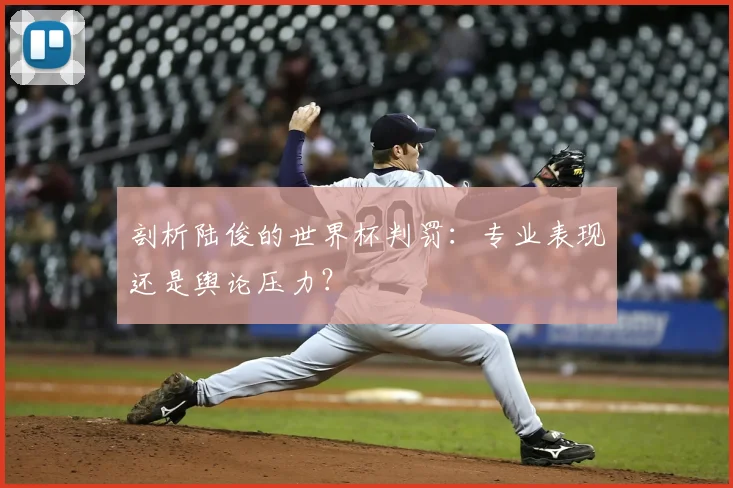 剖析陆俊的世界杯判罚:专业表现还是舆论压力?