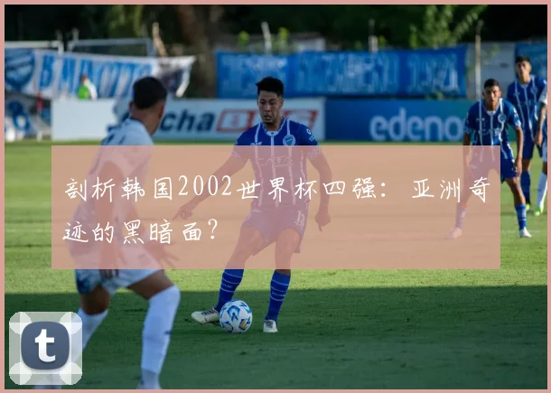 剖析韩国2002世界杯四强:亚洲奇迹的黑暗面?