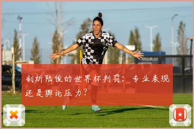 剖析陆俊的世界杯判罚:专业表现还是舆论压力?