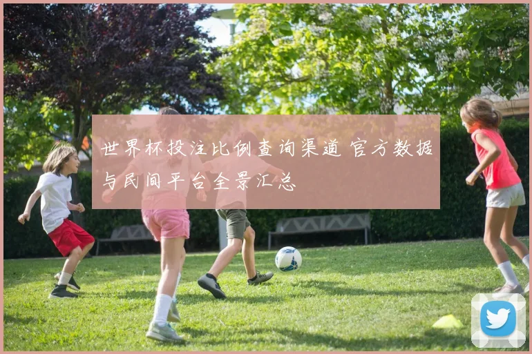 世界杯投注比例查询渠道 官方数据与民间平台全景汇总