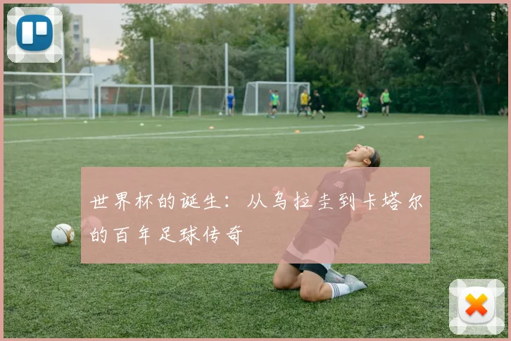 世界杯的诞生:从乌拉圭到卡塔尔的百年足球传奇