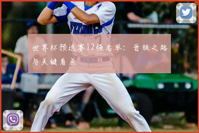 世界杯预选赛12强名单:晋级之路与关键看点