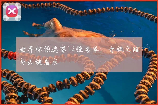 世界杯预选赛12强名单:晋级之路与关键看点